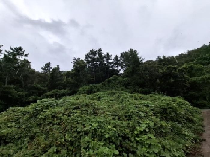 경남 남해군 서면 답 경매 물건 사진 3 · 2025타경31229