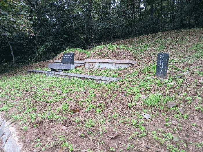 경남 진주시 금곡면 임야 경매 물건 사진 6 · 2025타경31230