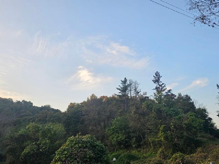 경남 진주시 금곡면 임야 경매 물건 사진