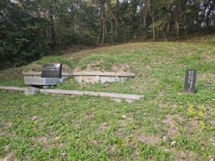 경남 진주시 금곡면 임야 경매 물건 사진 2 · 2025타경31230