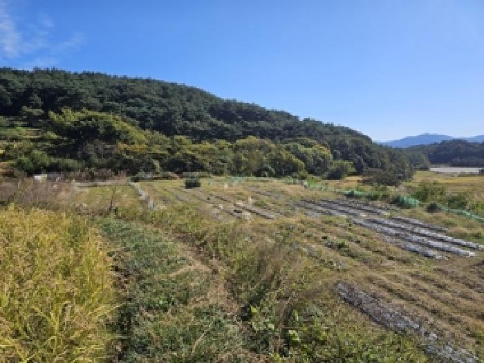 경남 산청군 신안면 단독주택 경매 물건 사진
