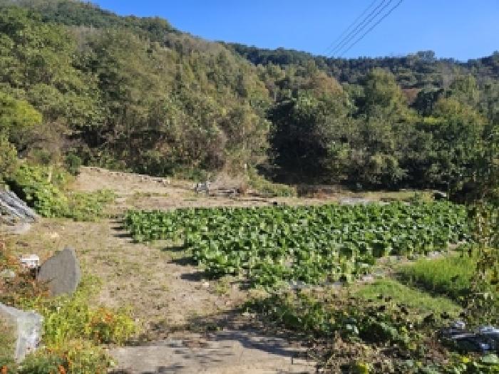 경남 산청군 산청읍 임야 경매 물건 사진 2 · 2025타경31268