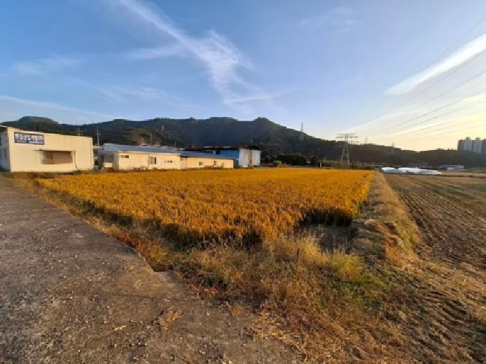 경남 사천시 사남면 답 경매 물건 사진 2 · 2025타경31296