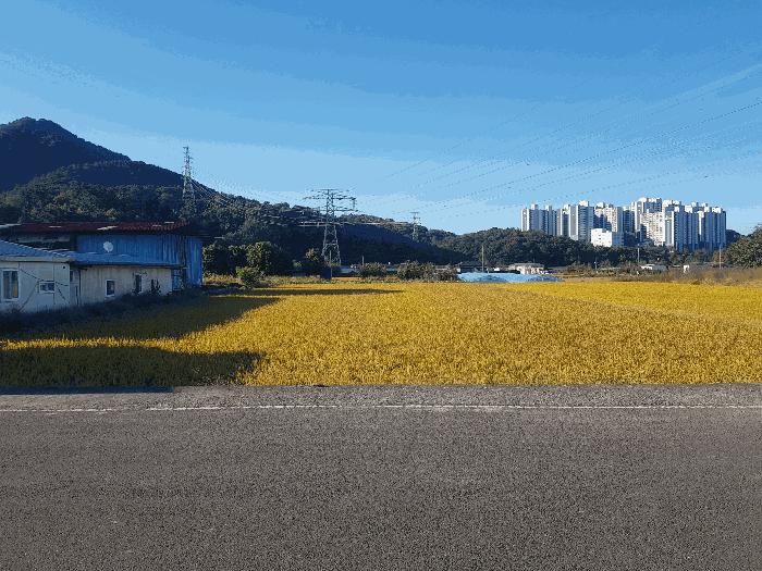 경남 사천시 사남면 답 경매 물건 사진 5 · 2025타경31296