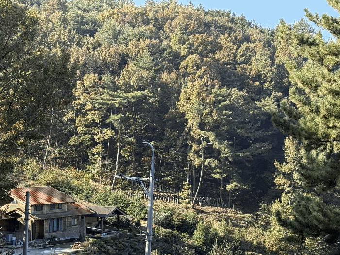 경남 남해군 창선면 임야 경매 물건 사진 4 · 2025타경31305
