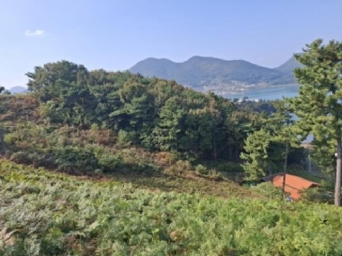 경남 남해군 창선면 임야 경매 물건 사진 2 · 2025타경31305