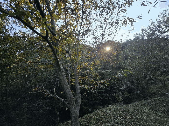 경남 하동군 횡천면 답 경매 물건 사진 6 · 2025타경31321