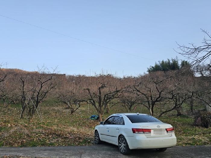 경남 하동군 악양면 답 경매 물건 사진