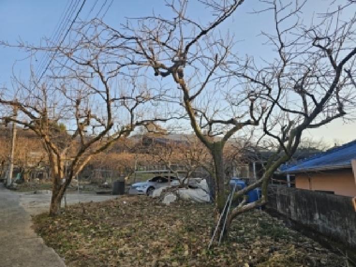 경남 하동군 악양면 답 경매 물건 사진 4 · 2025타경31340