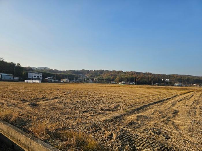 경남 하동군 금성면 단독주택 경매 물건 사진