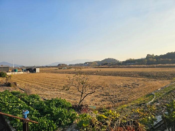 경남 하동군 금성면 단독주택 경매 물건 사진 2 · 2025타경31346