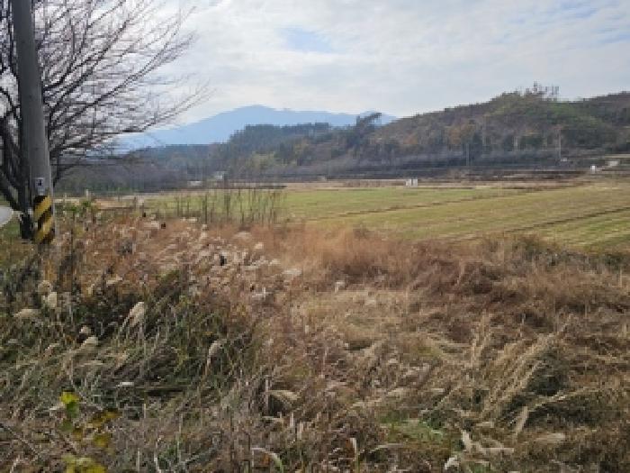 경남 하동군 진교면 전답 경매 물건 사진 4 · 2025타경31350