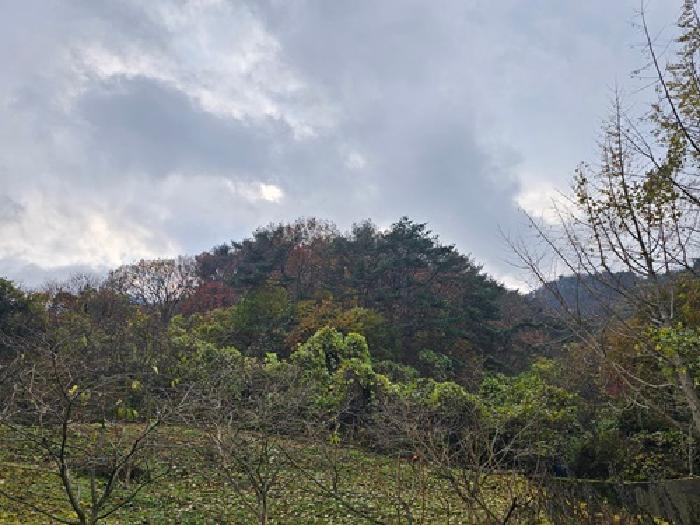 경남 진주시 일반성면 임야 경매 물건 사진