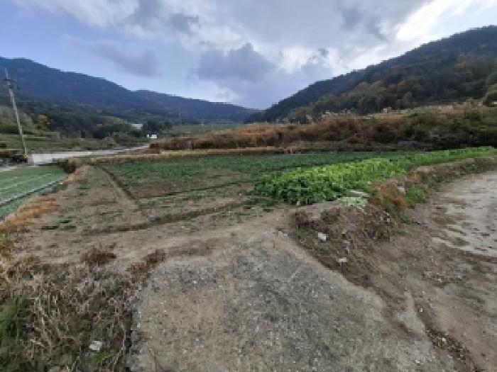 경남 남해군 고현면 답 경매 물건 사진 4 · 2025타경31370