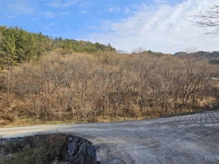 경남 진주시 대곡면 답 경매 물건 사진