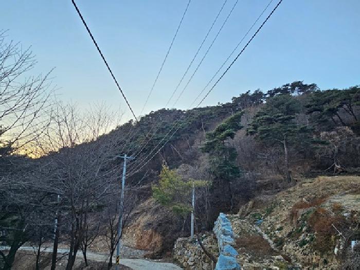 경남 산청군 단성면 임야 경매 물건 사진