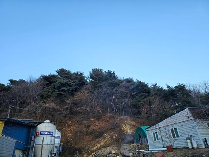 경남 산청군 단성면 임야 경매 물건 사진 2 · 2025타경31399