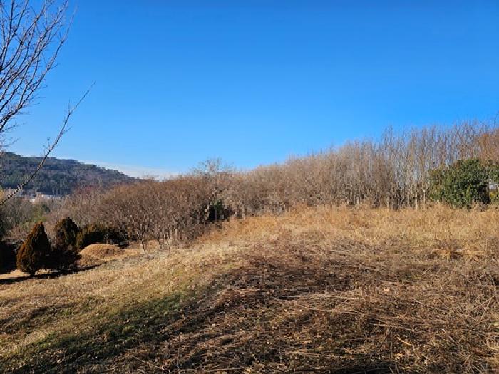 경남 진주시 집현면 과수원 경매 물건 사진 2 · 2025타경31415