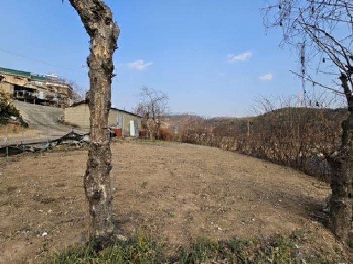 경남 하동군 금성면 전 경매 물건 사진