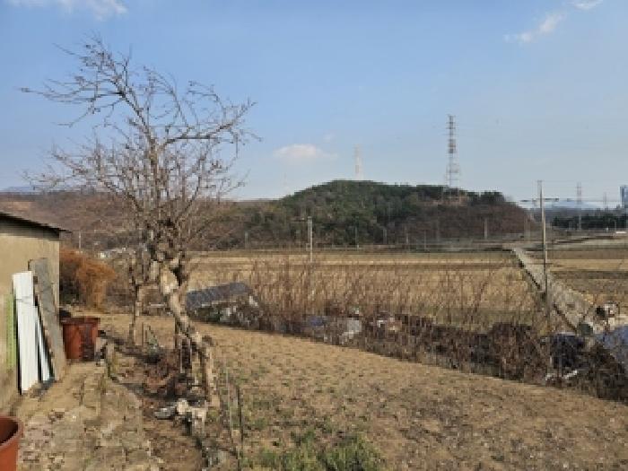 경남 하동군 금성면 전 경매 물건 사진 3 · 2025타경31419