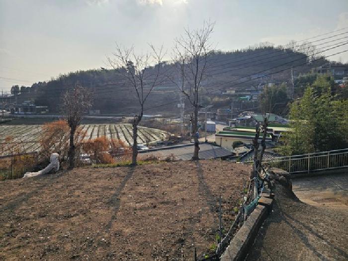 경남 하동군 금성면 전 경매 물건 사진 4 · 2025타경31419