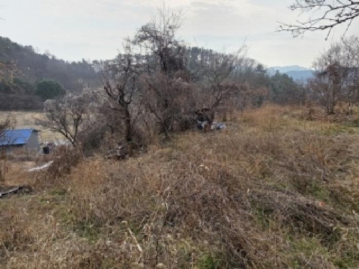 경남 진주시 일반성면 대지 경매 물건 사진 6 · 2025타경31438