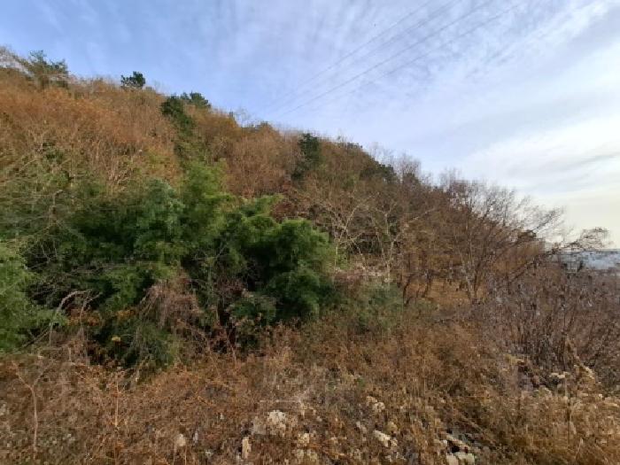 경남 사천시 이홀동 답 경매 물건 사진 3 · 2025타경31440