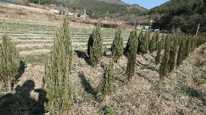 경남 남해군 서면 답 경매 물건 사진 5 · 2025타경31446