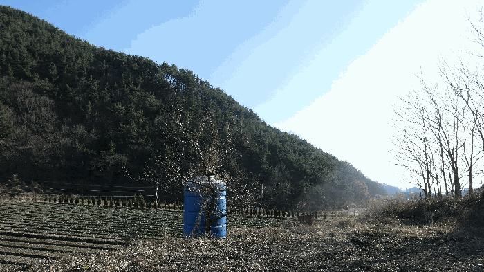 경남 남해군 서면 답 경매 물건 사진 6 · 2025타경31446