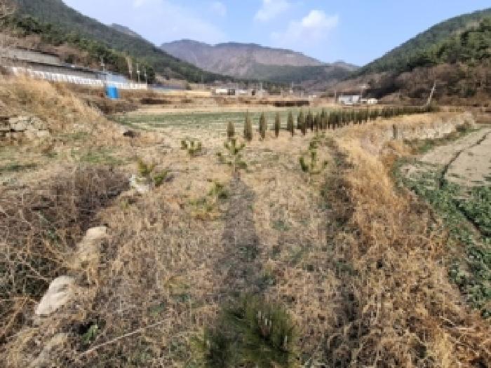 경남 남해군 서면 답 경매 물건 사진