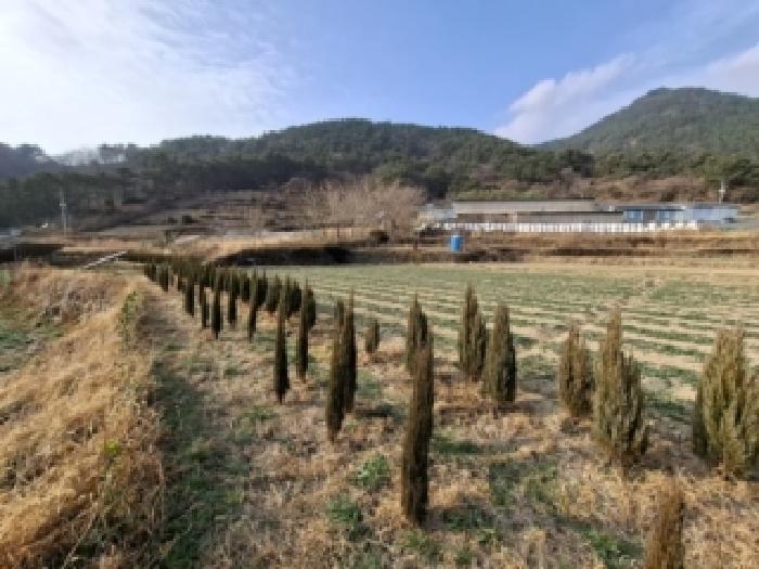 경남 남해군 서면 답 경매 물건 사진 2 · 2025타경31446