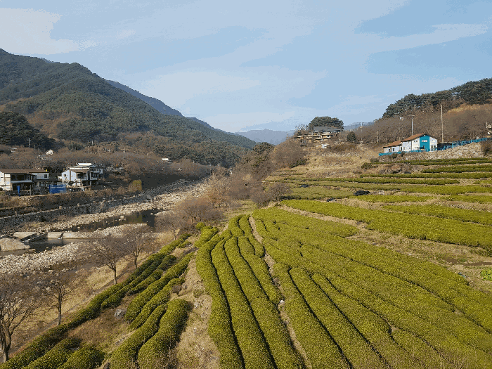 경남 하동군 화개면 답 경매 물건 사진 4 · 2025타경31457