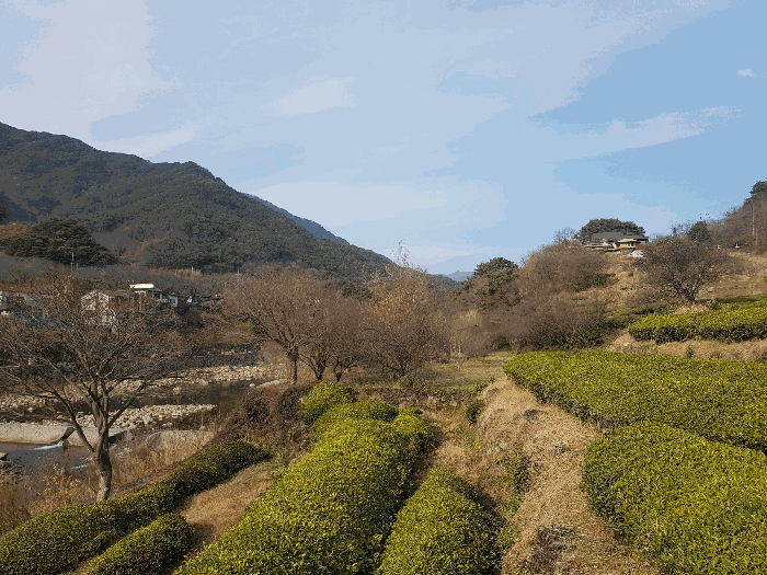 경남 하동군 화개면 답 경매 물건 사진 5 · 2025타경31457