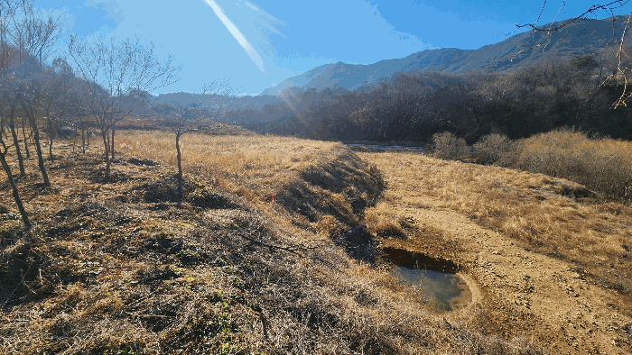 경남 산청군 단성면 임야 경매 물건 사진 5 · 2025타경31485