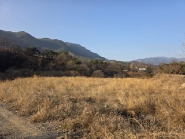 경남 산청군 단성면 임야 경매 물건 사진