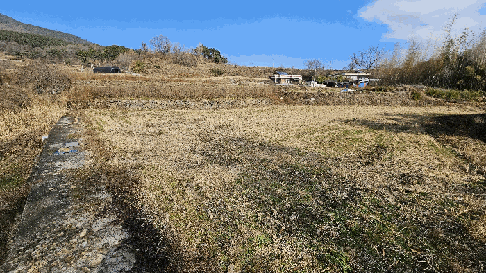 경남 남해군 설천면 답 경매 물건 사진 6 · 2025타경31493