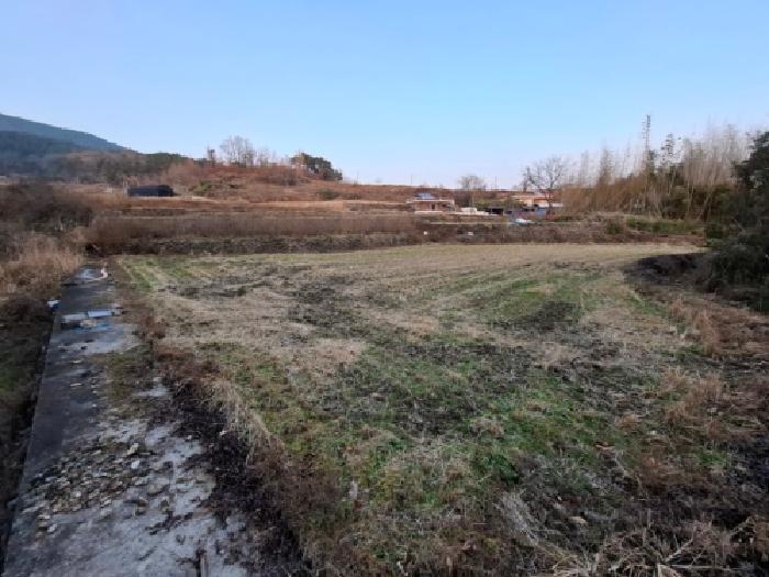 경남 남해군 설천면 답 경매 물건 사진