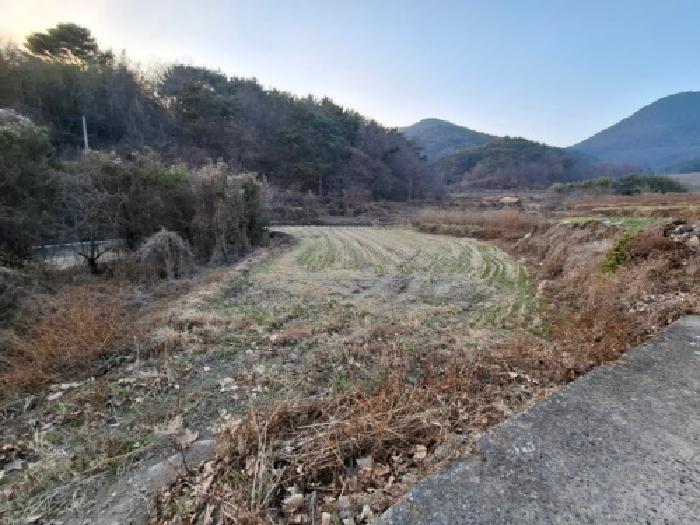 경남 남해군 설천면 답 경매 물건 사진 2 · 2025타경31493