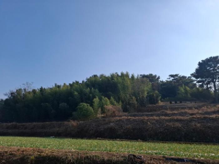 경남 남해군 이동면 전 경매 물건 사진
