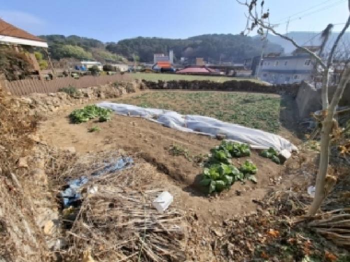 경남 남해군 미조면 대지 경매 물건 사진 3 · 2025타경31500