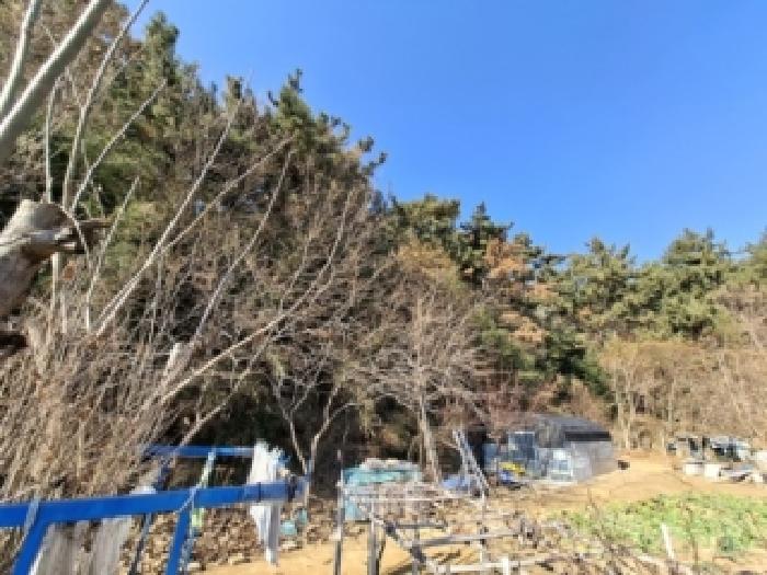 경남 사천시 서포면 임야 경매 물건 사진 2 · 2025타경31510