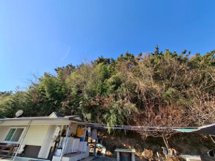 경남 사천시 서포면 임야 경매 물건 사진 3 · 2025타경31510