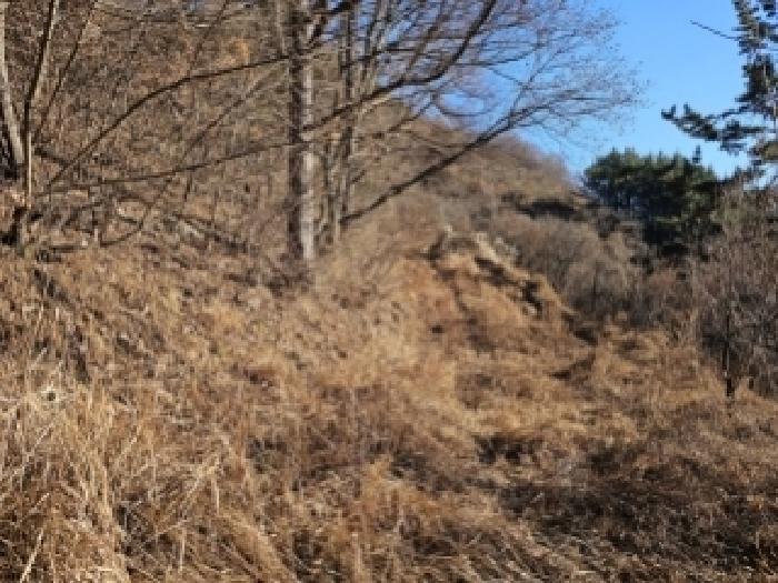 경남 산청군 시천면 전답 경매 물건 사진