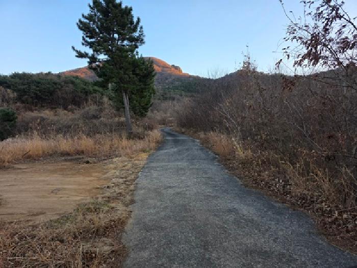 경남 남해군 남면 임야 경매 물건 사진 4 · 2025타경31538