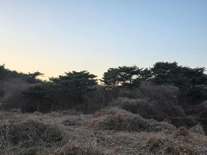 경남 남해군 남면 임야 경매 물건 사진 5 · 2025타경31538