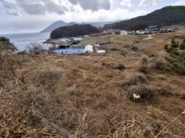 경남 남해군 이동면 대지,임야,전답 경매 물건 사진 3 · 2025타경319