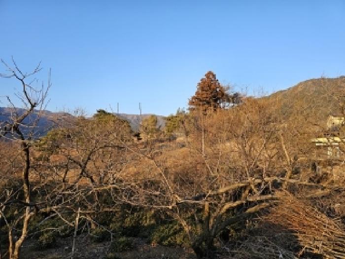경남 하동군 악양면 임야 경매 물건 사진