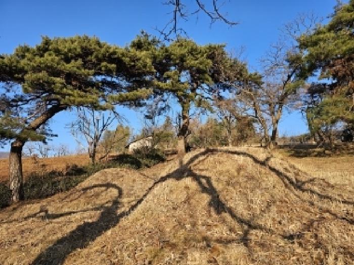 경남 하동군 악양면 임야 경매 물건 사진 5 · 2025타경487