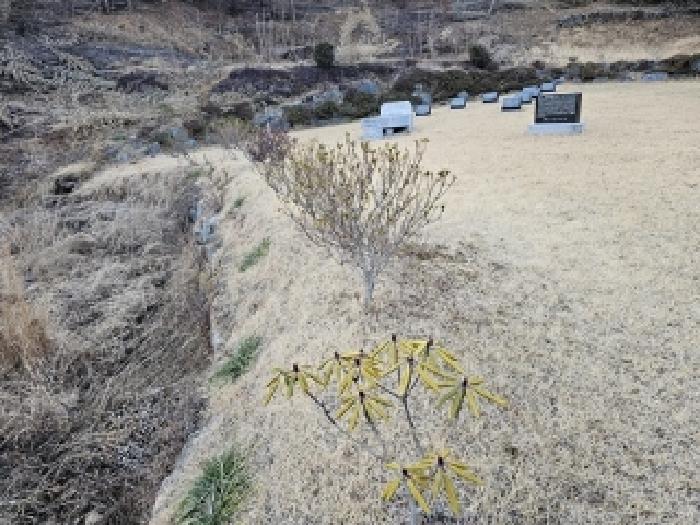 경남 하동군 청암면 단독주택 경매 물건 사진 4 · 2025타경500