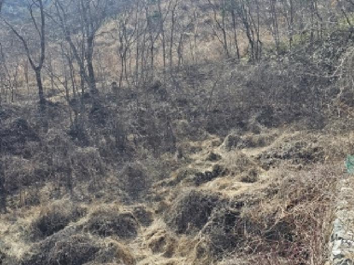 경남 산청군 단성면 답 경매 물건 사진